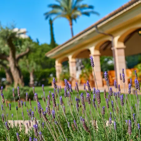 Cm Mallorca Palace - Only Adults-2
