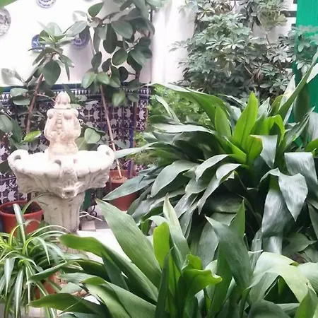 Hosteria de Rafi-3