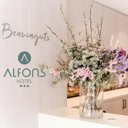 Alfons Hotel-3