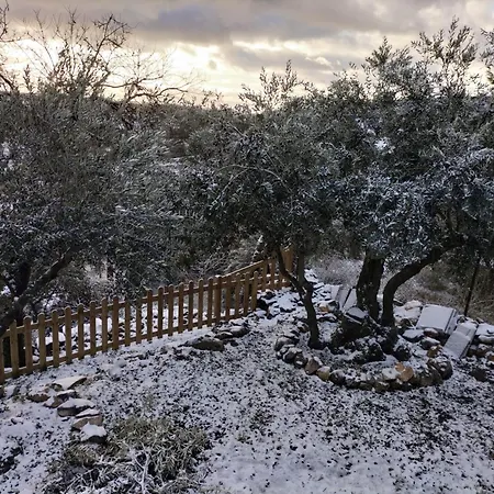 El Almendro de Fuentes Nuevas-2