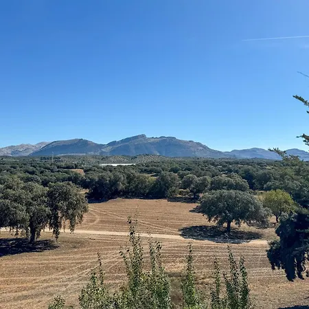 Finca La Lola - Secluded Andalusian Finca For Groups Of Up To 20 Guests-2