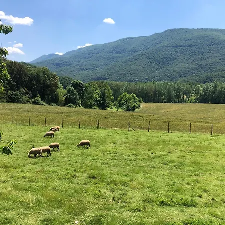 La Badia Nova-3