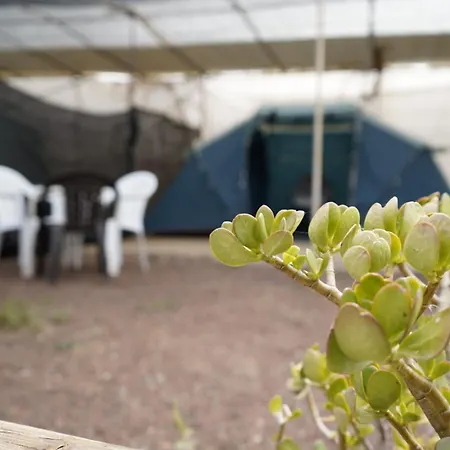Agrocamping Invernaderito-2