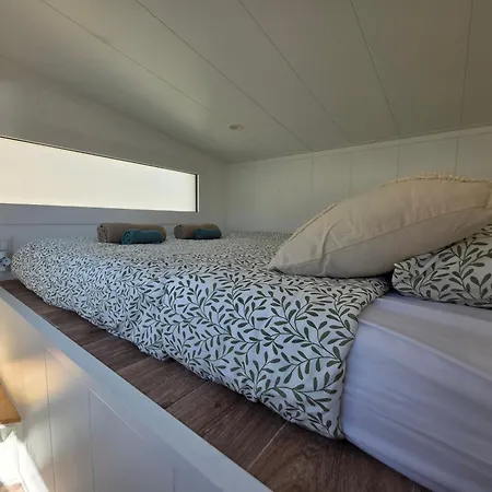 Blue Ocean Camp - Tasartico-2