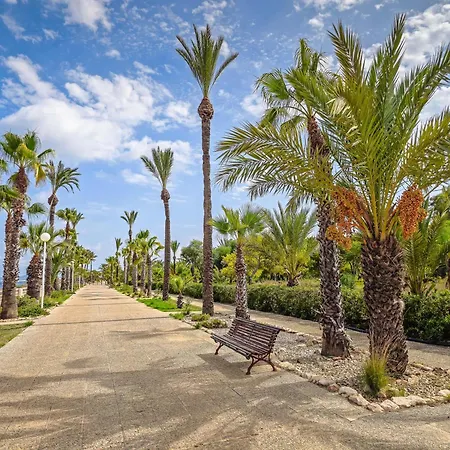 Occidental Mar Menor-3
