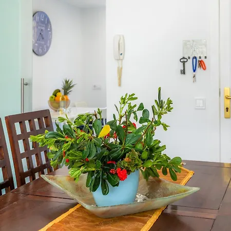 Apartamento La Pergola-3