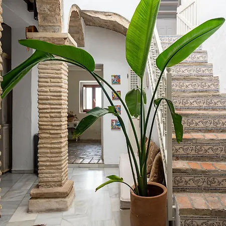 Casa Las Cuadras - Califa Casas Vejer-3