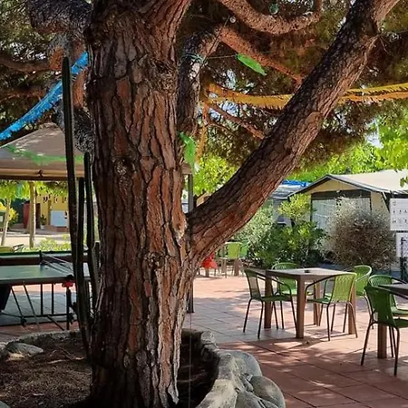 Camping El Pinar Platja-3