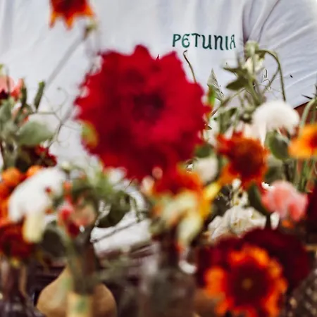 Petunia Ibiza, A Beaumier Hotel (Adults Only)-2