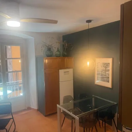 Apartamento con encanto y terraza en Barri Vell de Girona, El Cul de la Lleona-3