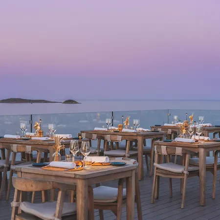 Melia Ibiza - Adults Only-2