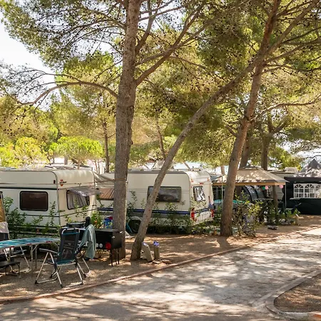 Camping Estival Torre de la Mora-3