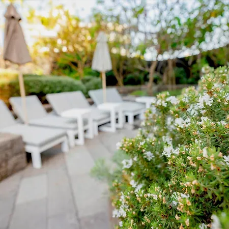 Bohemia Suites & Spa - Adults Only-2