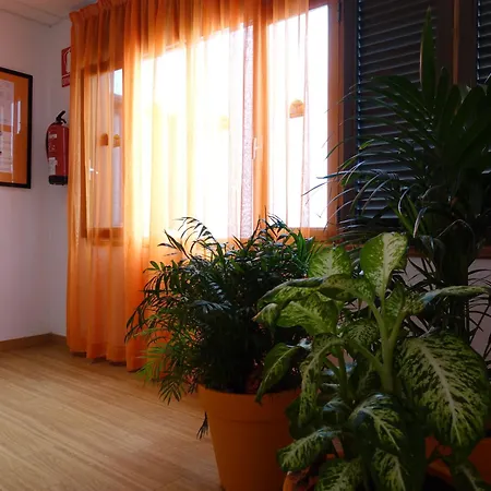 Hotel Andrea'S-2