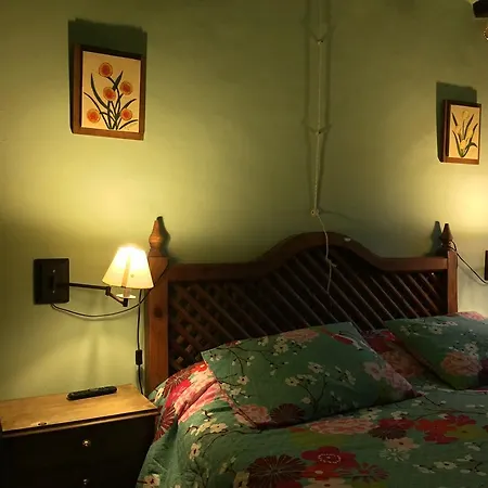 Casa Coll-2