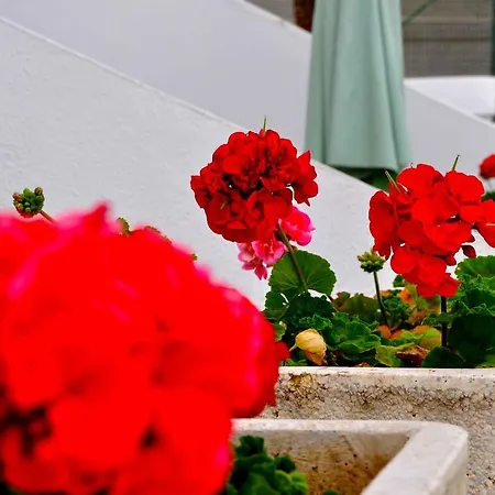 Apartamentos Niza-2
