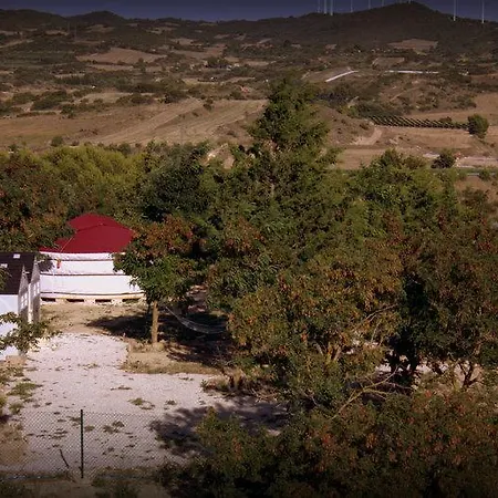 Campo de Reyes-3