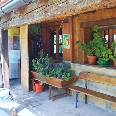 Camping Aín Jaca-3