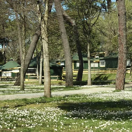 Camping El Rosal-3
