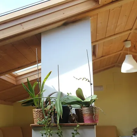 Hostel Curavacas-2
