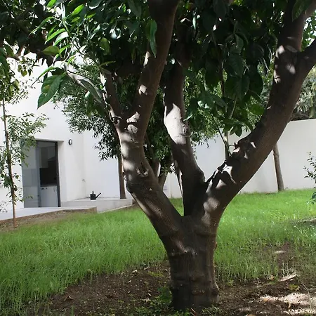 Residencia Mayol - Adults Only-3