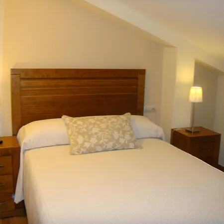 Hostal Los Claveles-2