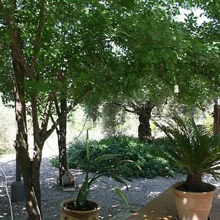 Casa las Marias-2