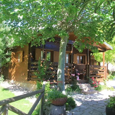 Cabañas los Pinos Arroyo Frio-3