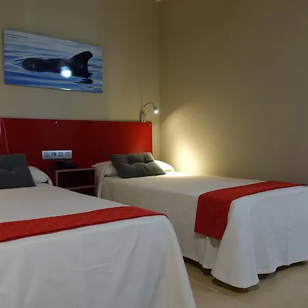 Hotel Andrea'S-3