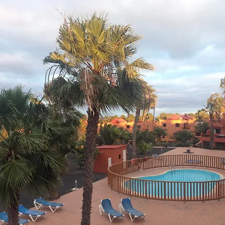 Oasis Royal-2