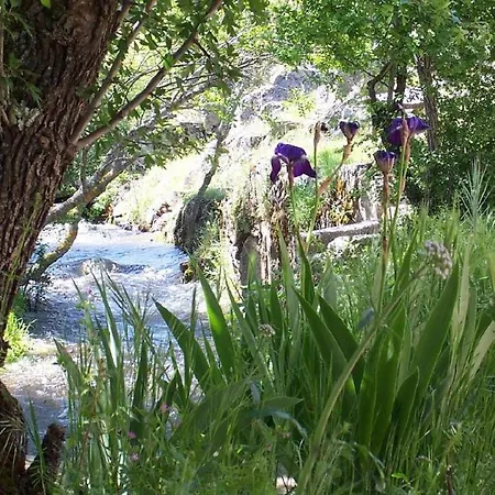 Molino De Los Gamusinos-2