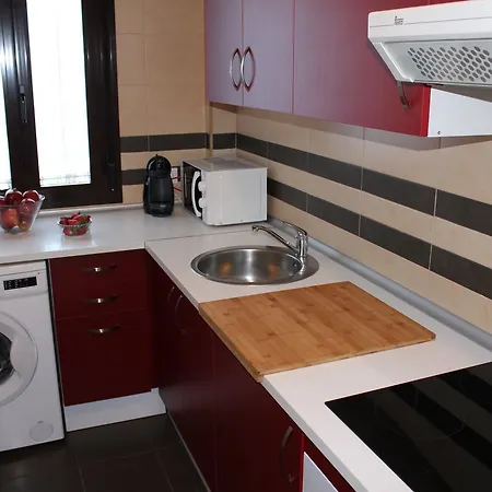 Apartamentos Balcón de la Vega-3
