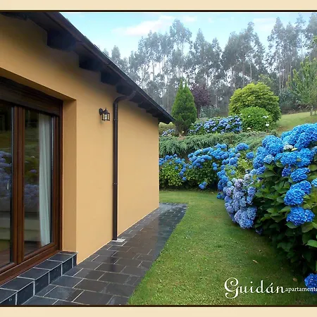 Apartamentos Guidan-3