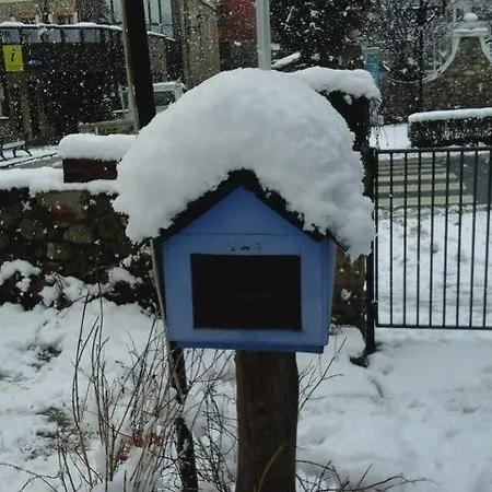Albergue Pajaro Loco-2