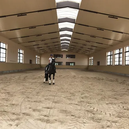 Vmg Horse Ranch (Adults Only)-3