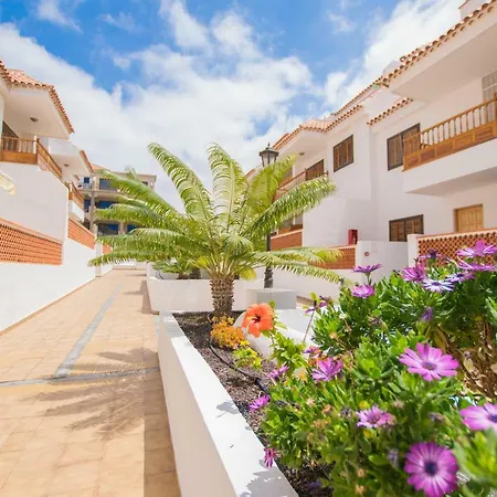 El Cardon Las Vistas - Tenesol Rentals-3