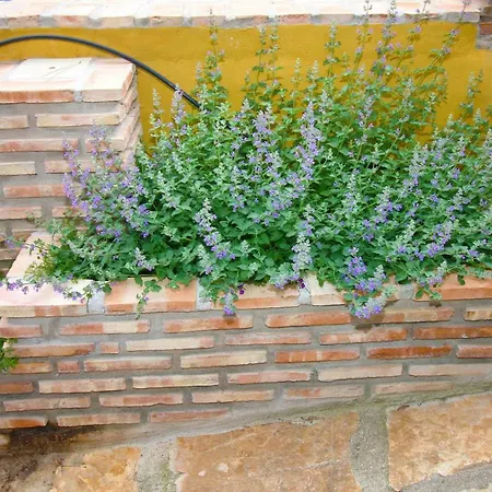 Finca El Destino-2