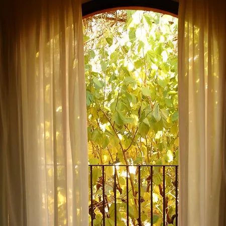 Hotel Torres-2