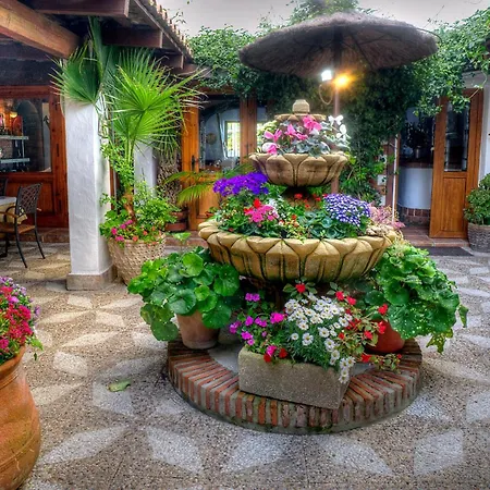 Hotel Almadraba-2