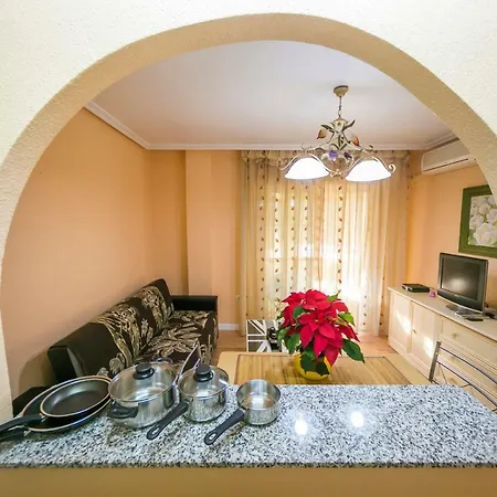 Homely Apartments Calle Apolo-3