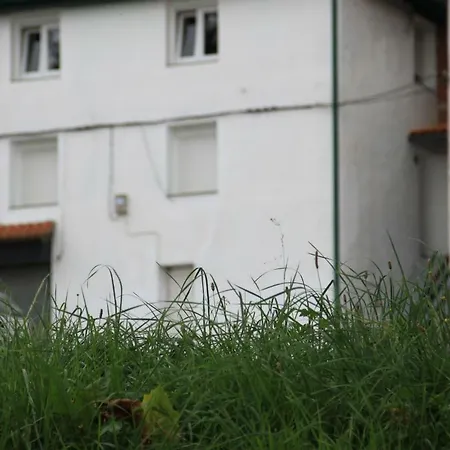 Apartamento Rural Zuri-2