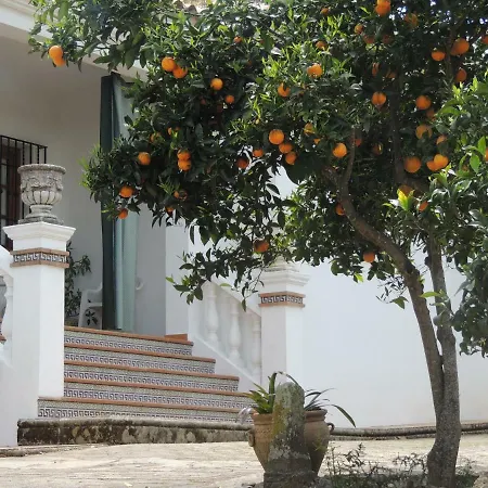 Casas del Madroño-3