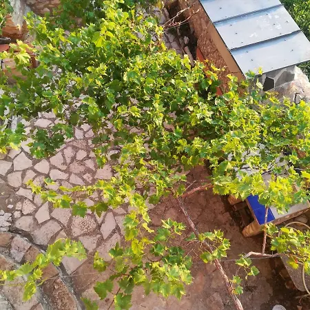 Casa Rita-3