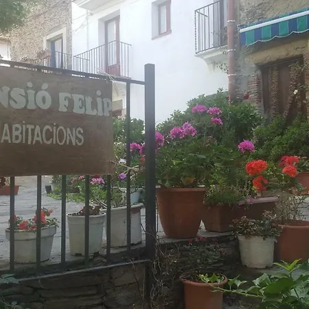 Fonda Felip-3