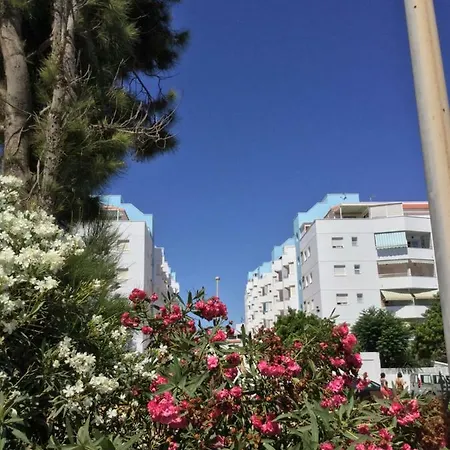 La Perla Azul Playa - Terraza al Sol-2