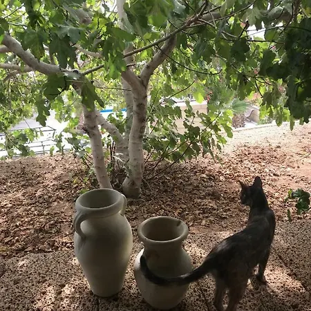 Finca el Cortijo-2