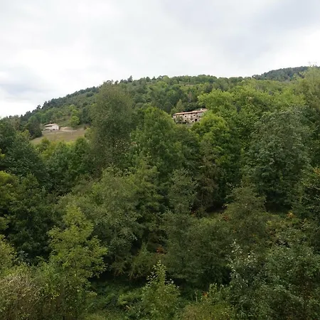 Hotel Els Avets De Camprodon-2