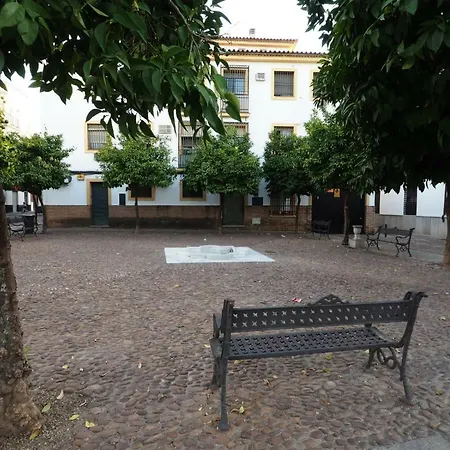 Calle Abejar,Plaza-2
