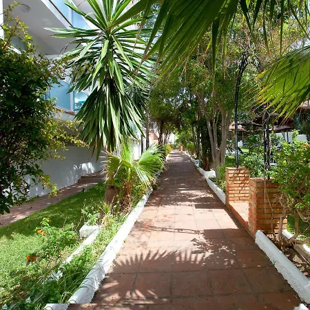 Hotel Palia Las Palomas-3