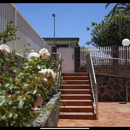 Apartamentos Oasis Sol-2